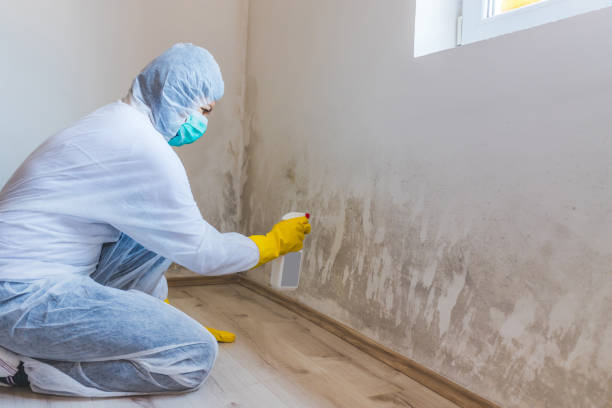 Hvac And Air Duct Mold Remediation inspection of HVAC system in Southborough